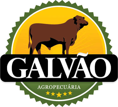 Galvão